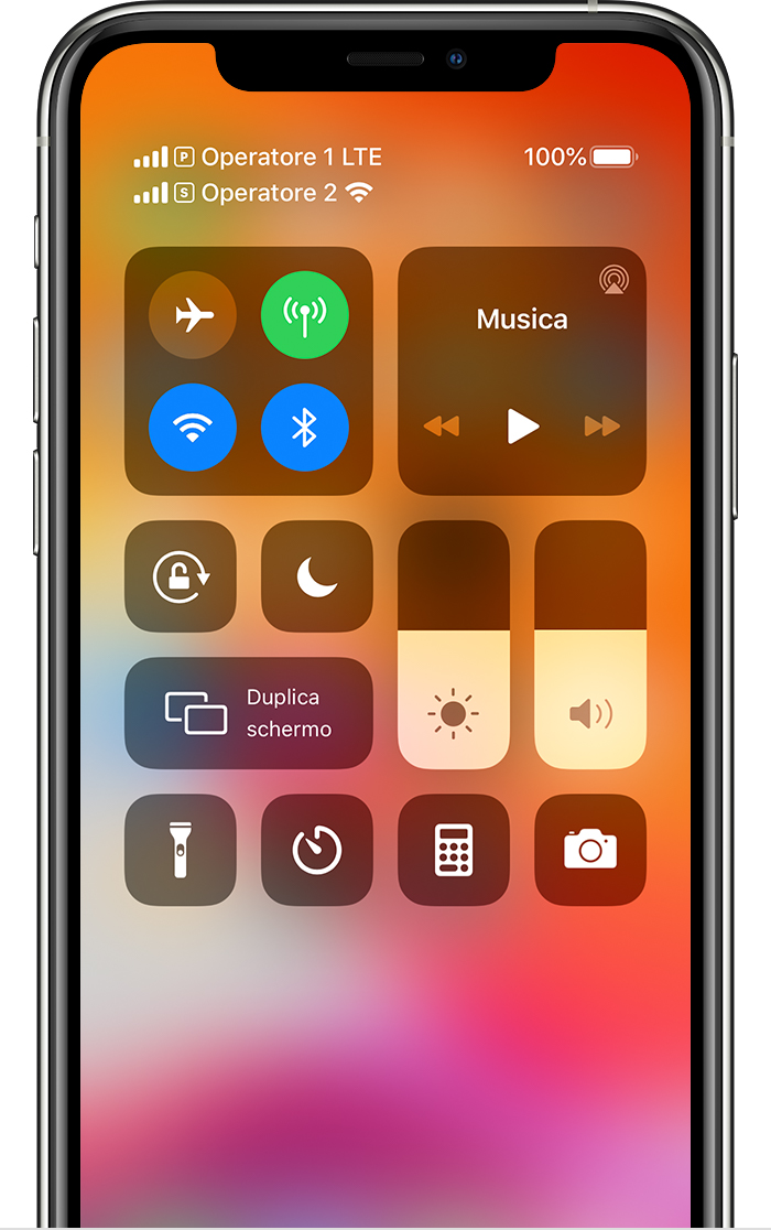 Usare la funzionalità Dual SIM con due schede nanoSIM Supporto Apple