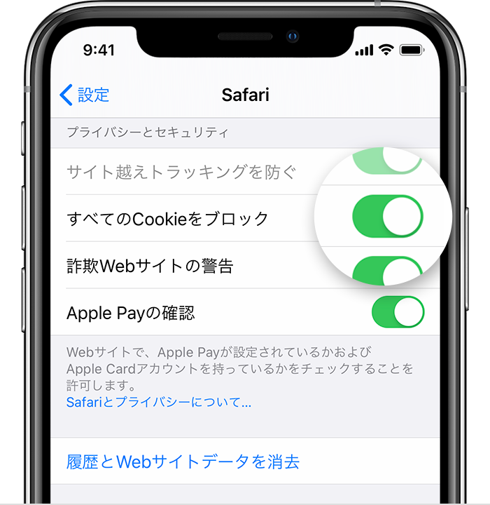 Iphone Ipad Ipod Touch で Safari から閲覧履歴と Cookie を消去