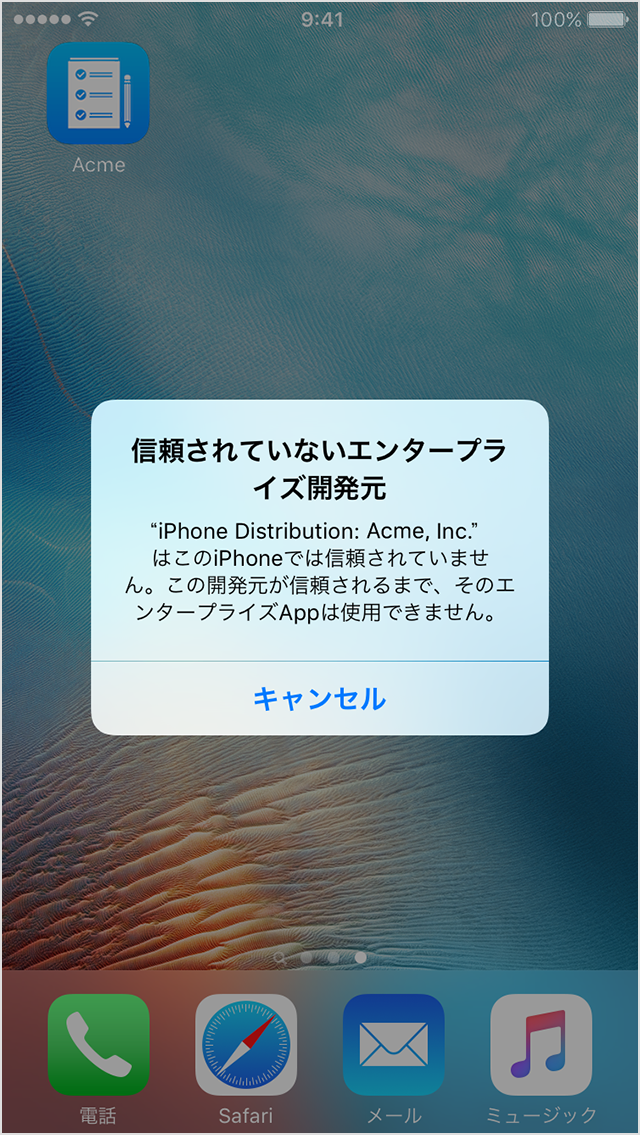 Ios でカスタムのエンタープライズ App をインストールする Apple サポート 日本