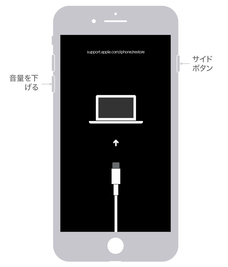 た ipad パス コード 忘れ iPhone /