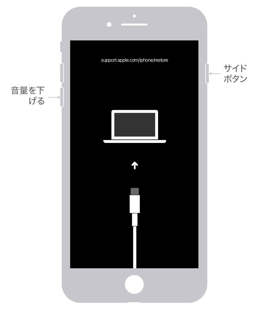 Iphone のパスコードを忘れた場合や Iphone を使用できない場合 Apple サポート 日本