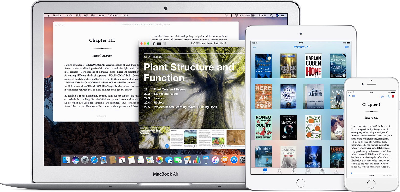 Аналоги ibooks на windows