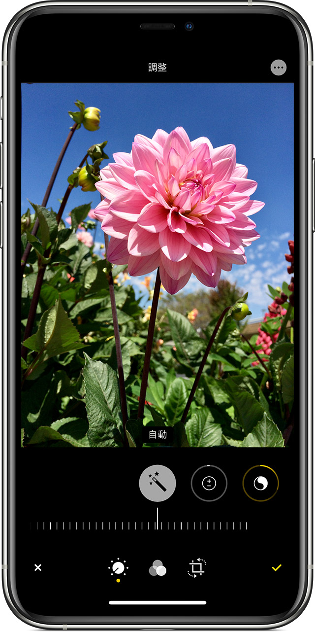 Iphone Ipad Ipod Touch で写真を撮って編集する Apple サポート