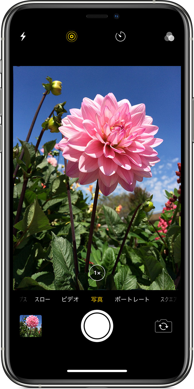 Iphone Ipad Ipod Touch で写真を撮って編集する Apple サポート