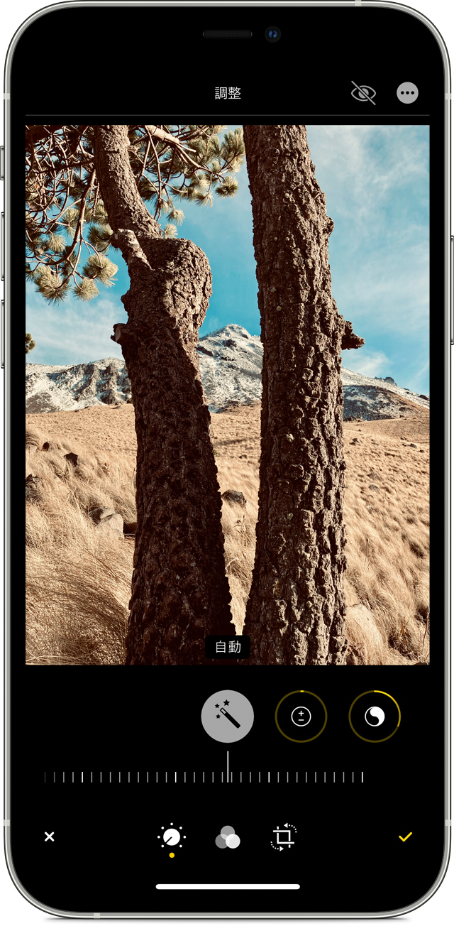 Iphone Ipad Ipod Touch で写真を撮って編集する Apple サポート