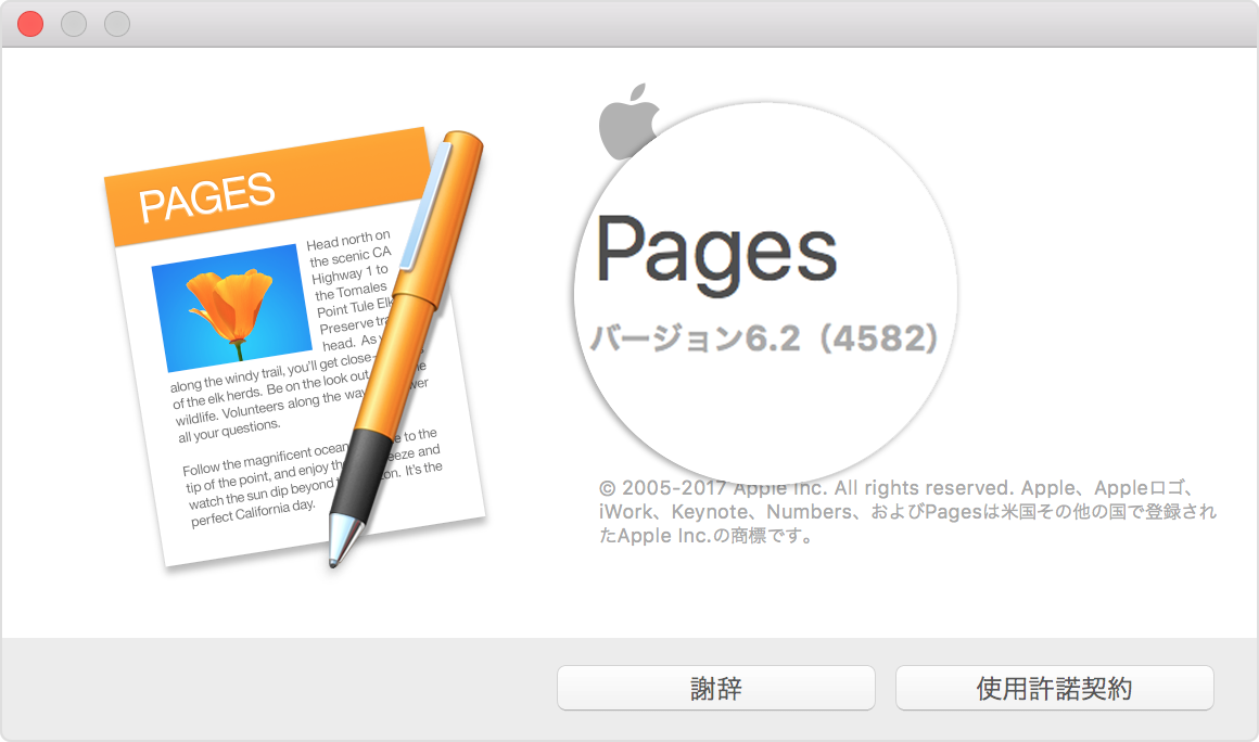 Pages 書類に EndNote プラグインを使って引用文献を追加する Apple サポート