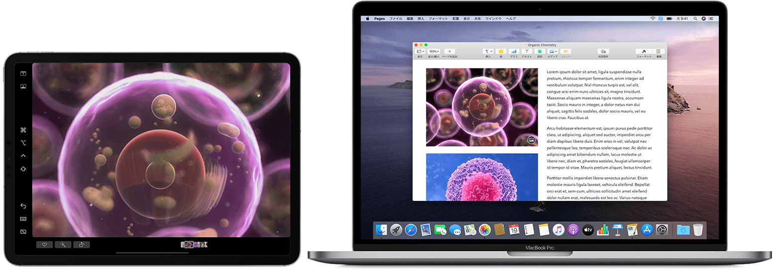 Sidecar で Ipad を Mac の 2 台目のディスプレイとして使う Apple