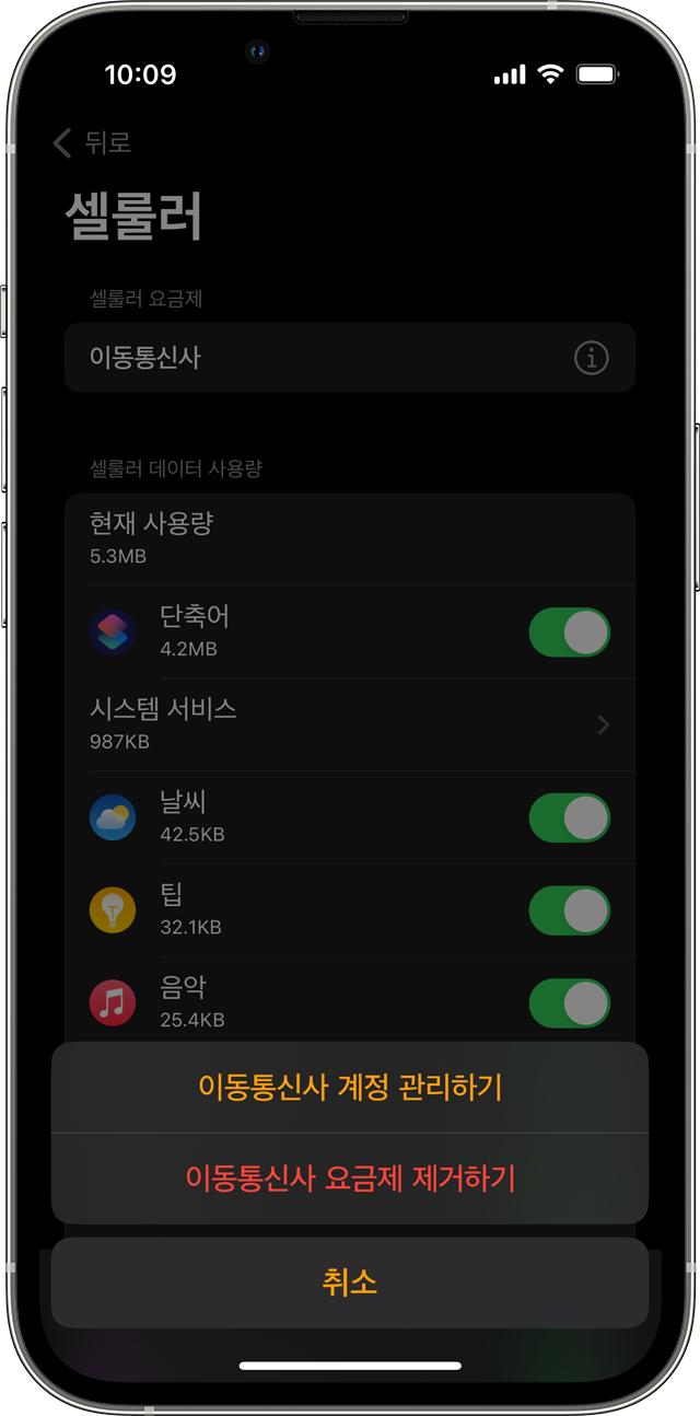Watch 앱의 셀룰러 화면이 표시된 iPhone