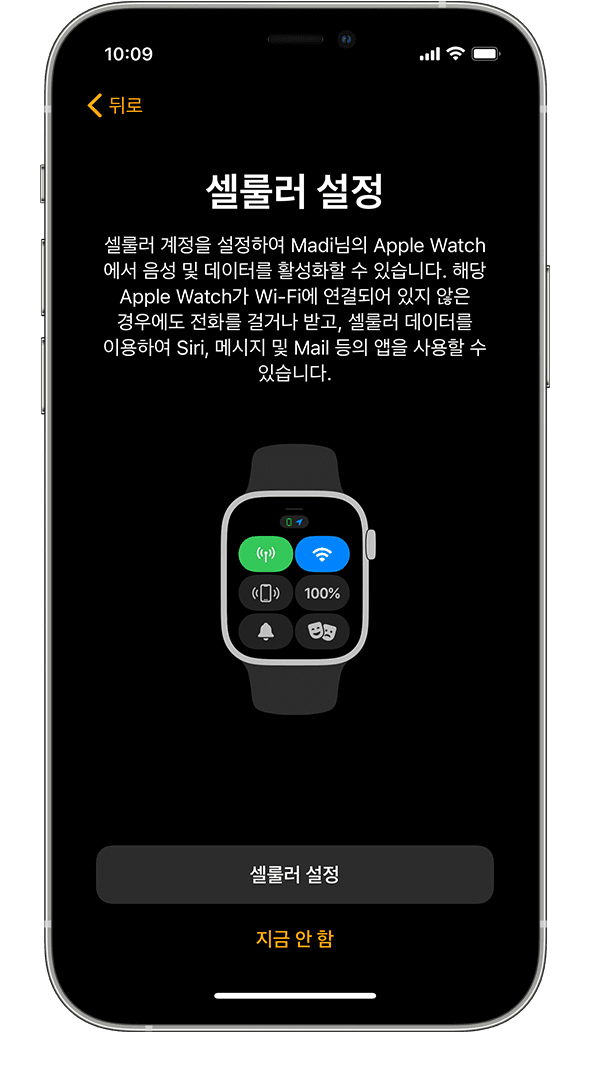 iPhone에서 Apple Watch를 설정할 때 표시되는 셀룰러 설정 화면.
