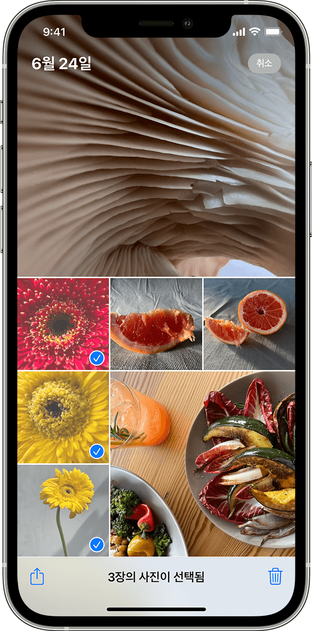 여러 장의 사진이 선택된 사진 앱을 표시한 iPhone