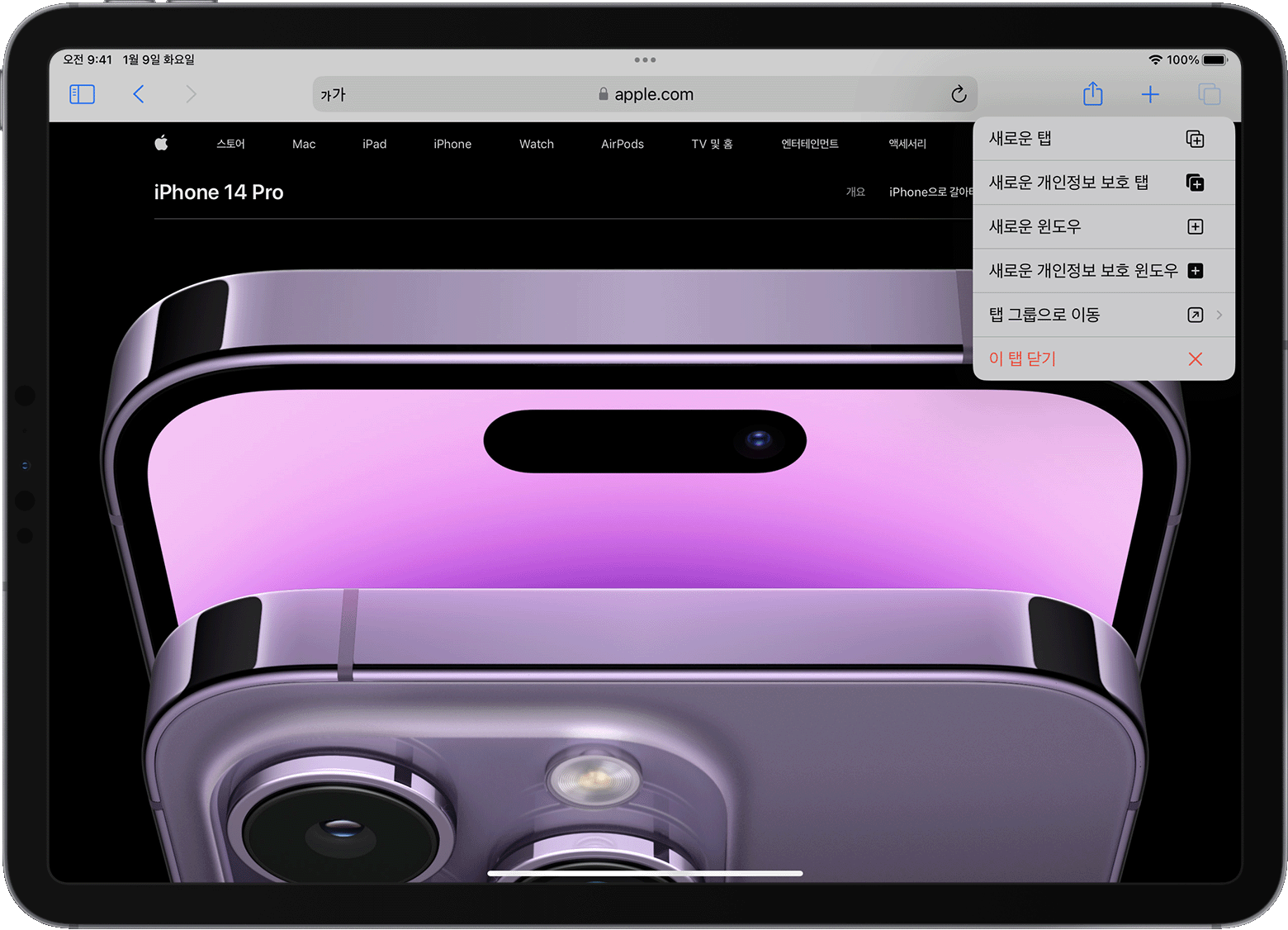 Safari 탭 옵션 메뉴가 열려 있는 iPad