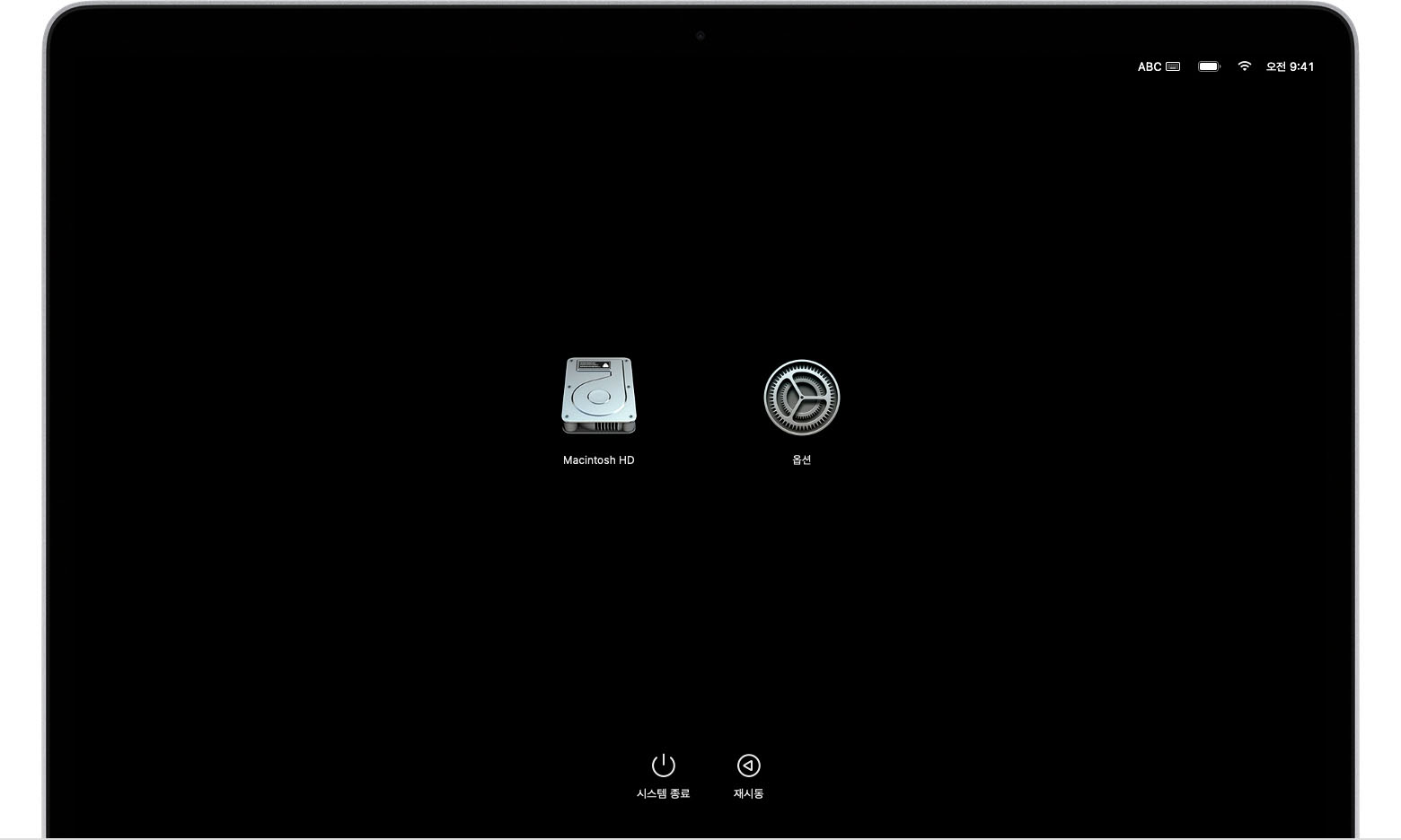 Macintosh HD 및 옵션 아이콘이 표시된 macOS 시동 옵션 화면