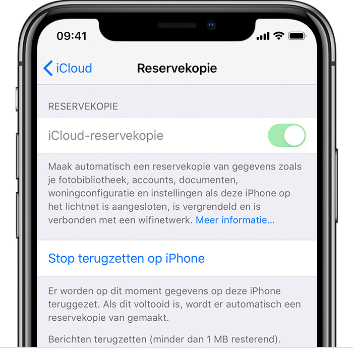 iPhone met iCloud-reservekopie ingeschakeld