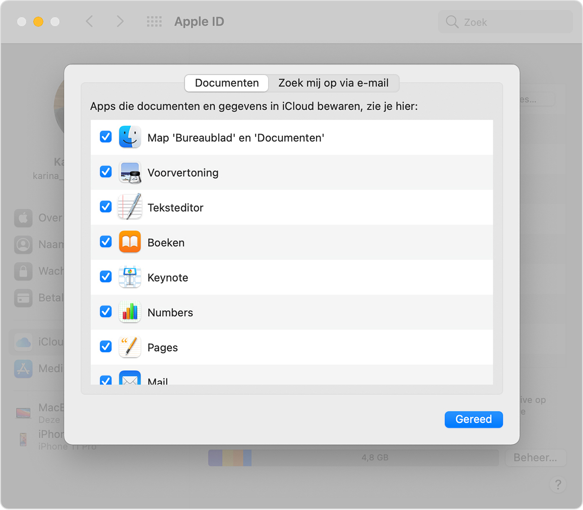 Het scherm 'Opties' van iCloud Drive op een Mac met de optie 'Map 'Bureaublad' en 'Documenten'' geselecteerd.
