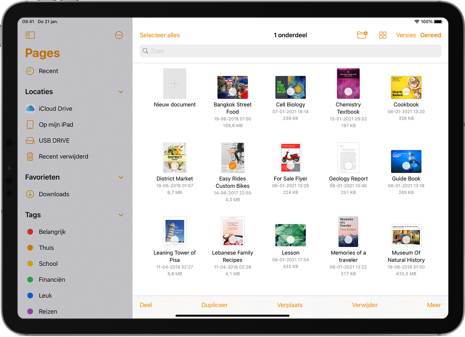 iPad Pro met Pages-bestandenbrowser geopend en één bestand geselecteerd