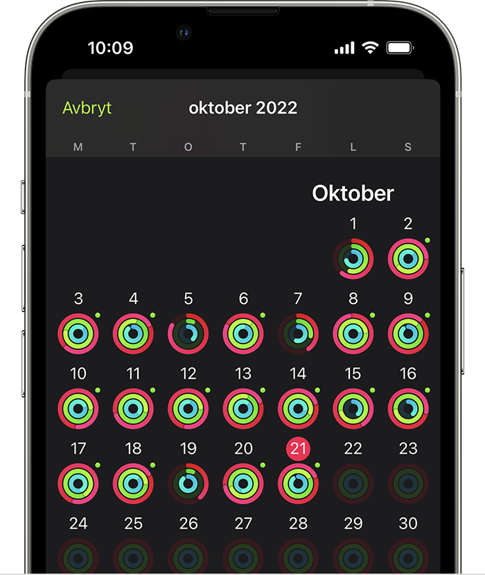 En iPhone-skjerm som viser et sammendrag av den totale aktiviteten for måneden