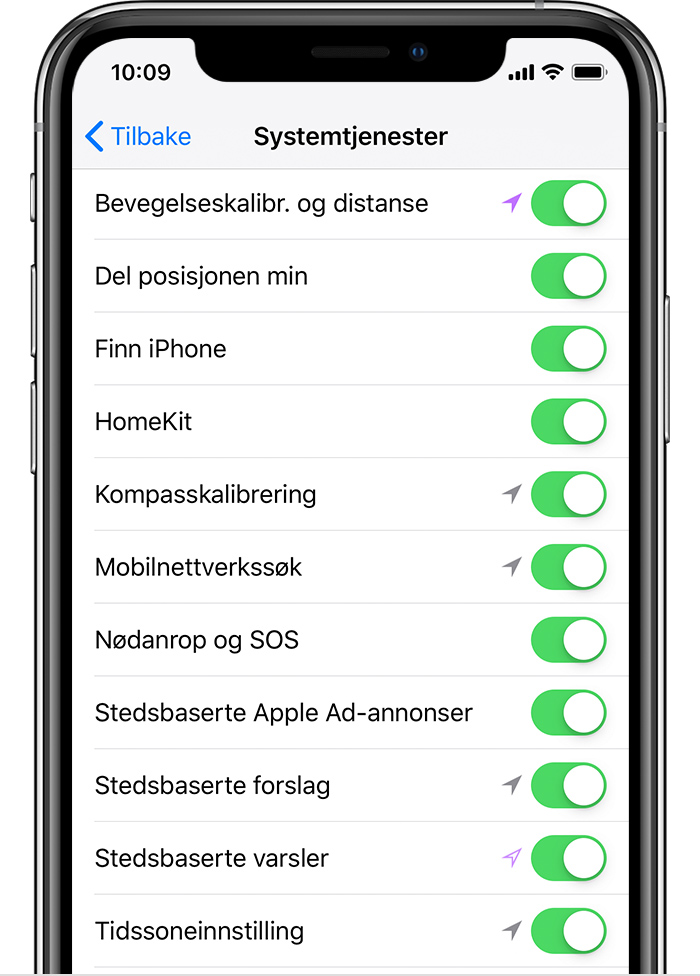 Systemtjenester-skjermbildet på iPhone.