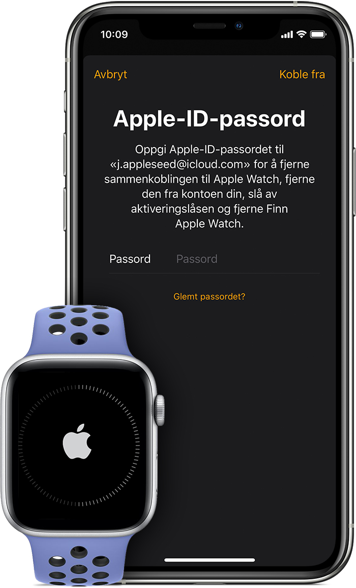 Melding om å skrive inn Apple-ID-passord for å deaktivere Aktiveringslås.