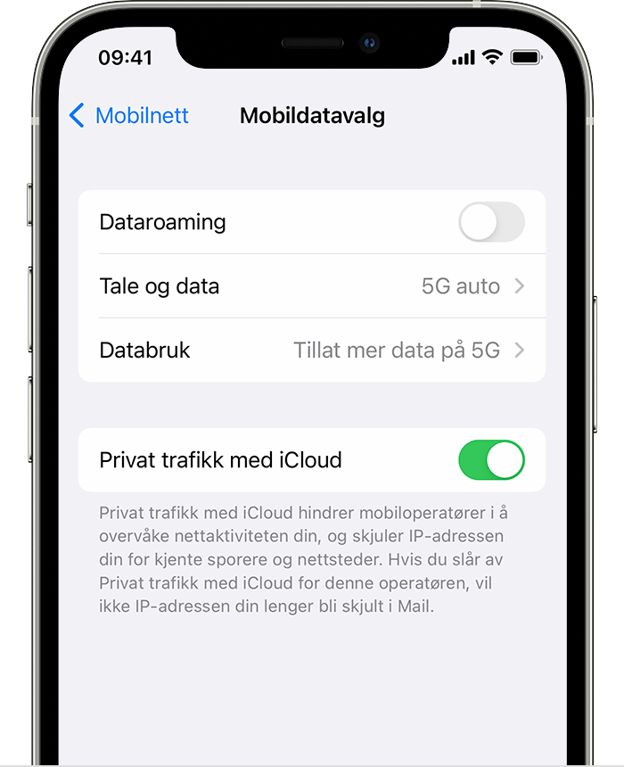 Skjermbilde som viser alternativer for mobildata