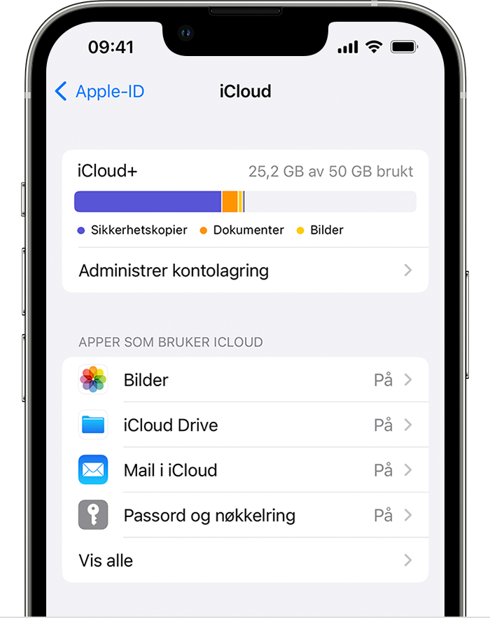 Velg hvilke apper du vil bruke med iCloud på iPhone