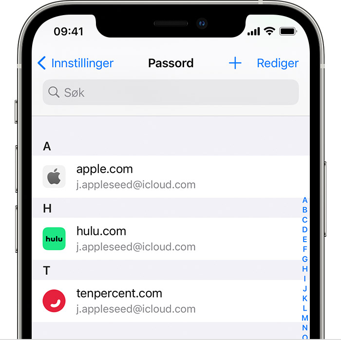 En iPhone 12 Pro viser at passord er lagret for kontoer som Apple, Google, og Netflix i Passord-delen av Innstillinger.