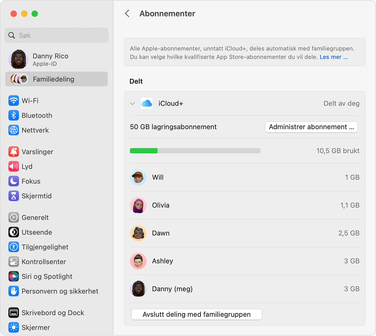 Lagringsabonnementet ditt og hvor mye lagringsplass du har brukt, er oppført under iCloud.