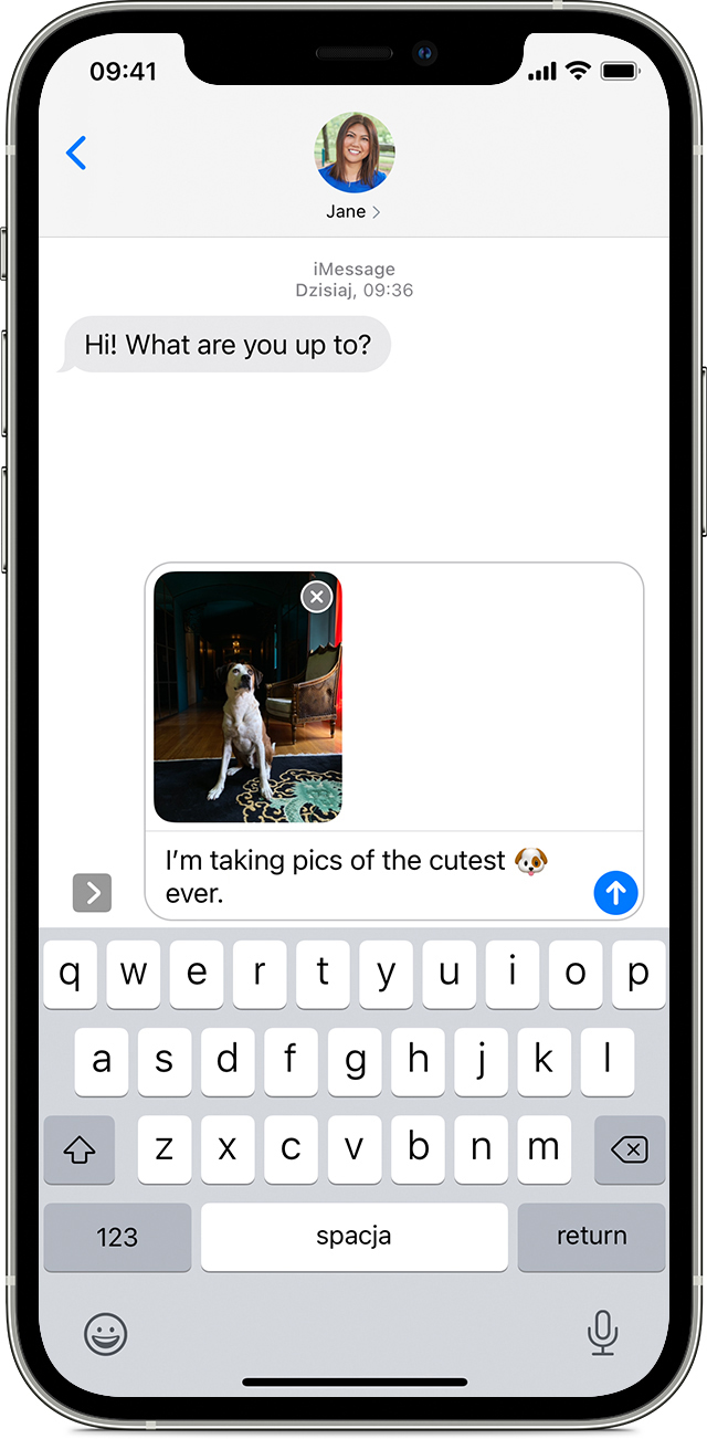 Wysylanie Zdjec Nagran Wideo I Wiadomosci Glosowych Z Telefonu Iphone Ipada Lub Ipoda Touch Wsparcie Apple