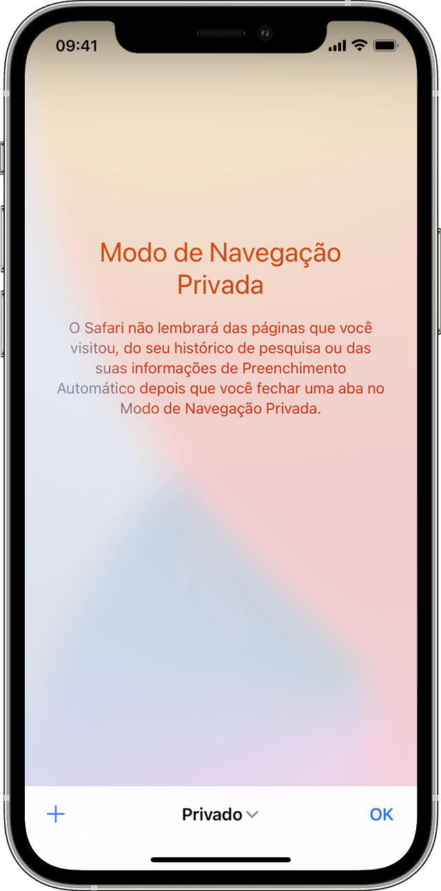 iPhone mostrando a tela do Modo de Navegação Privada depois de tocar em Privado para ativar a Navegação Privada.