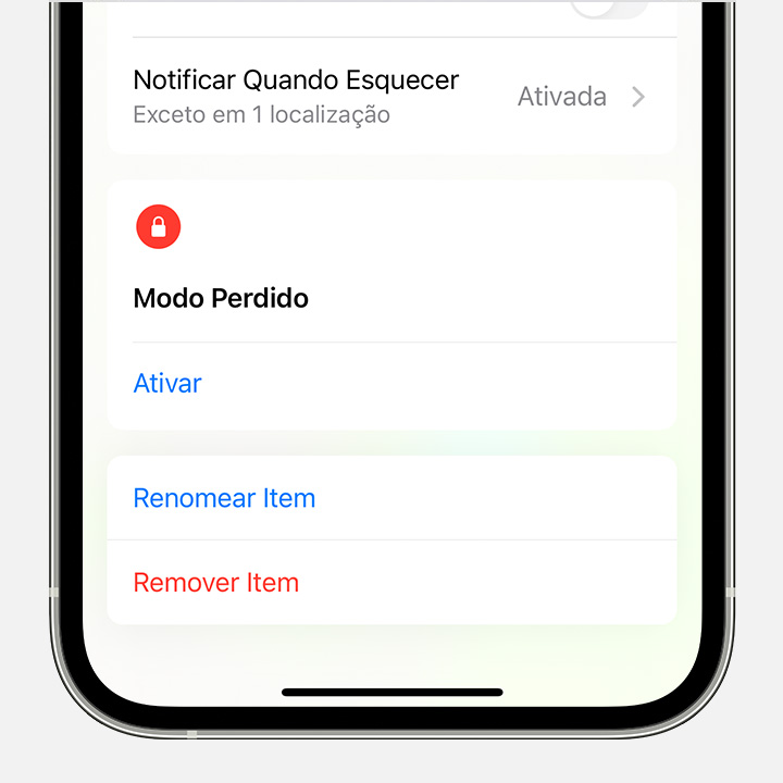 Toque em Remover Item para remover um item do Buscar e remover o Bloqueio do app Buscar.