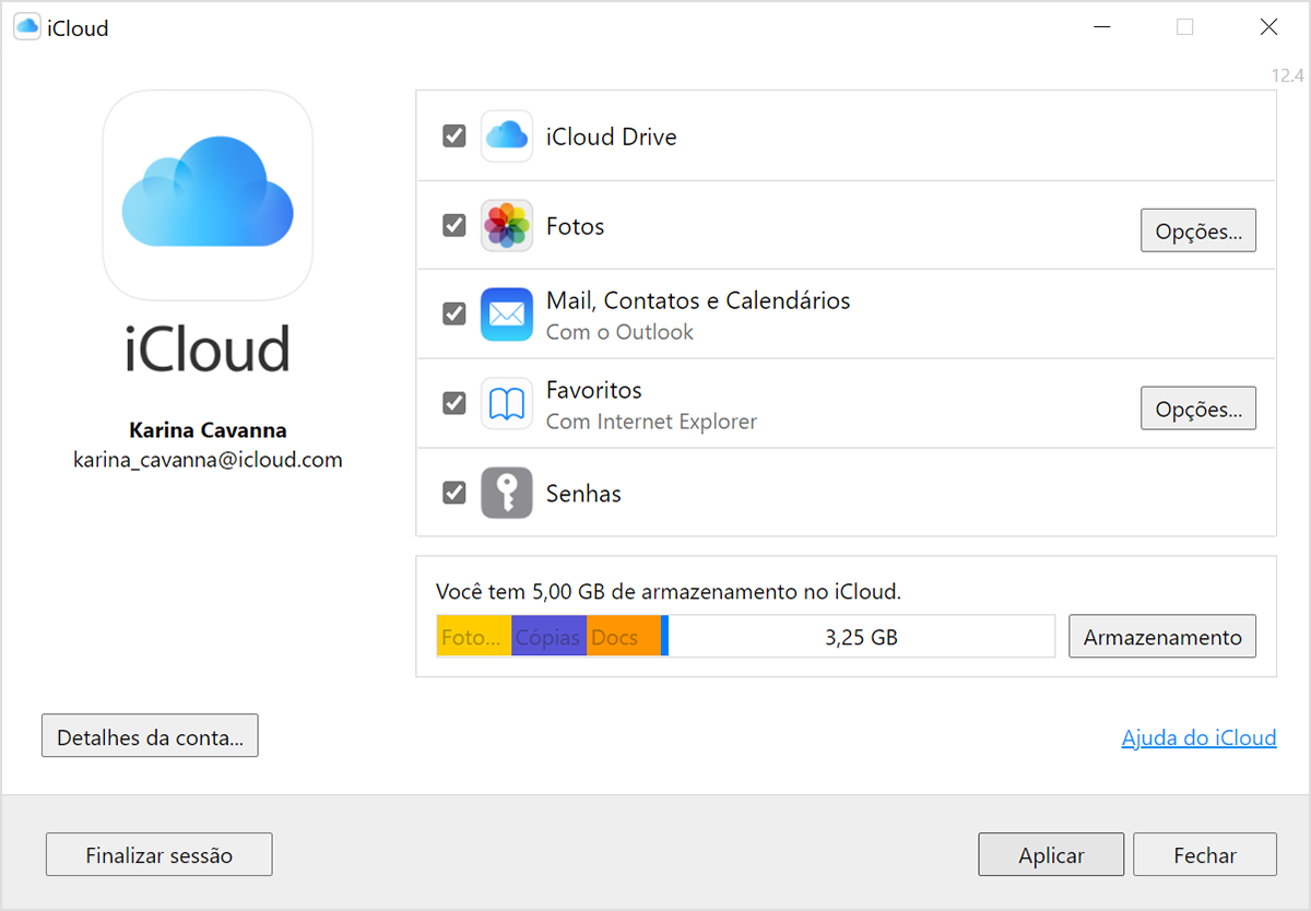No iCloud para Windows, o endereço de e-mail do ID Apple está abaixo do seu nome.