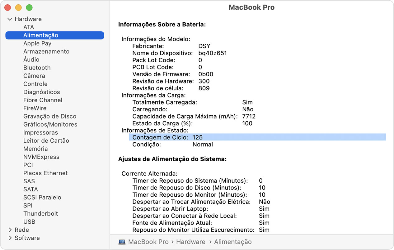Janela Informações do Sistema do MacBook Pro com a contagem de ciclos da bateria em destaque