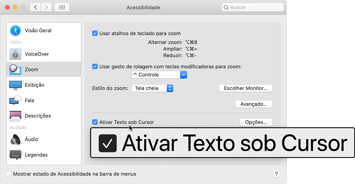 Exemplo de Texto sob Cursor nas preferências Zoom