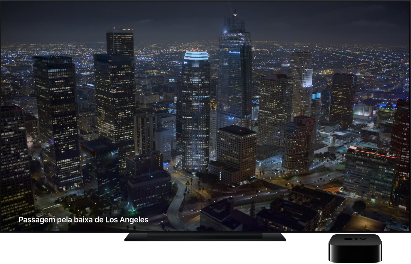 Uma proteção de ecrã Vistas aéreas na Apple TV com focas. 