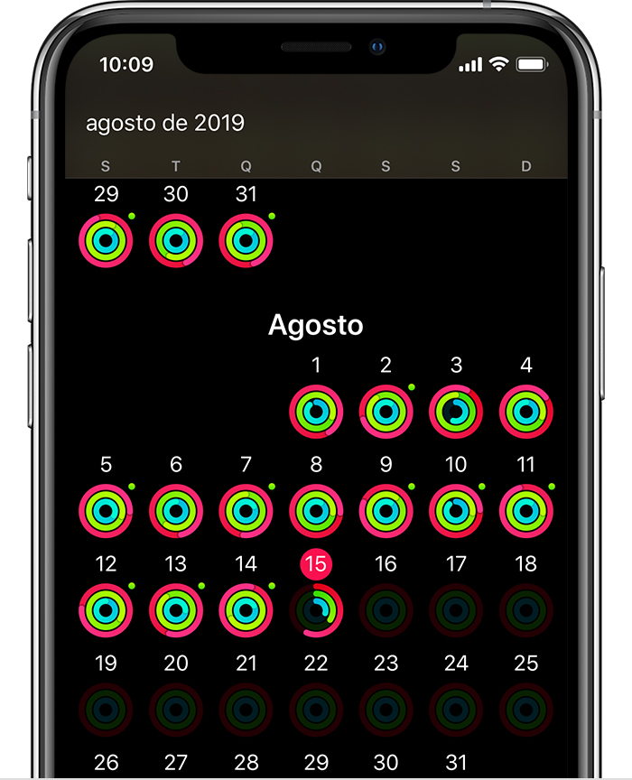 Um ecrã do iPhone a mostrar o resumo geral da atividade do mês