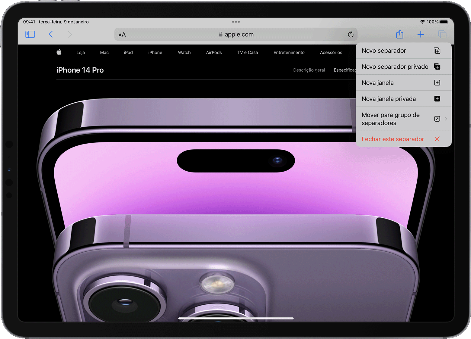 iPad com o menu de opções de separador do Safari aberto