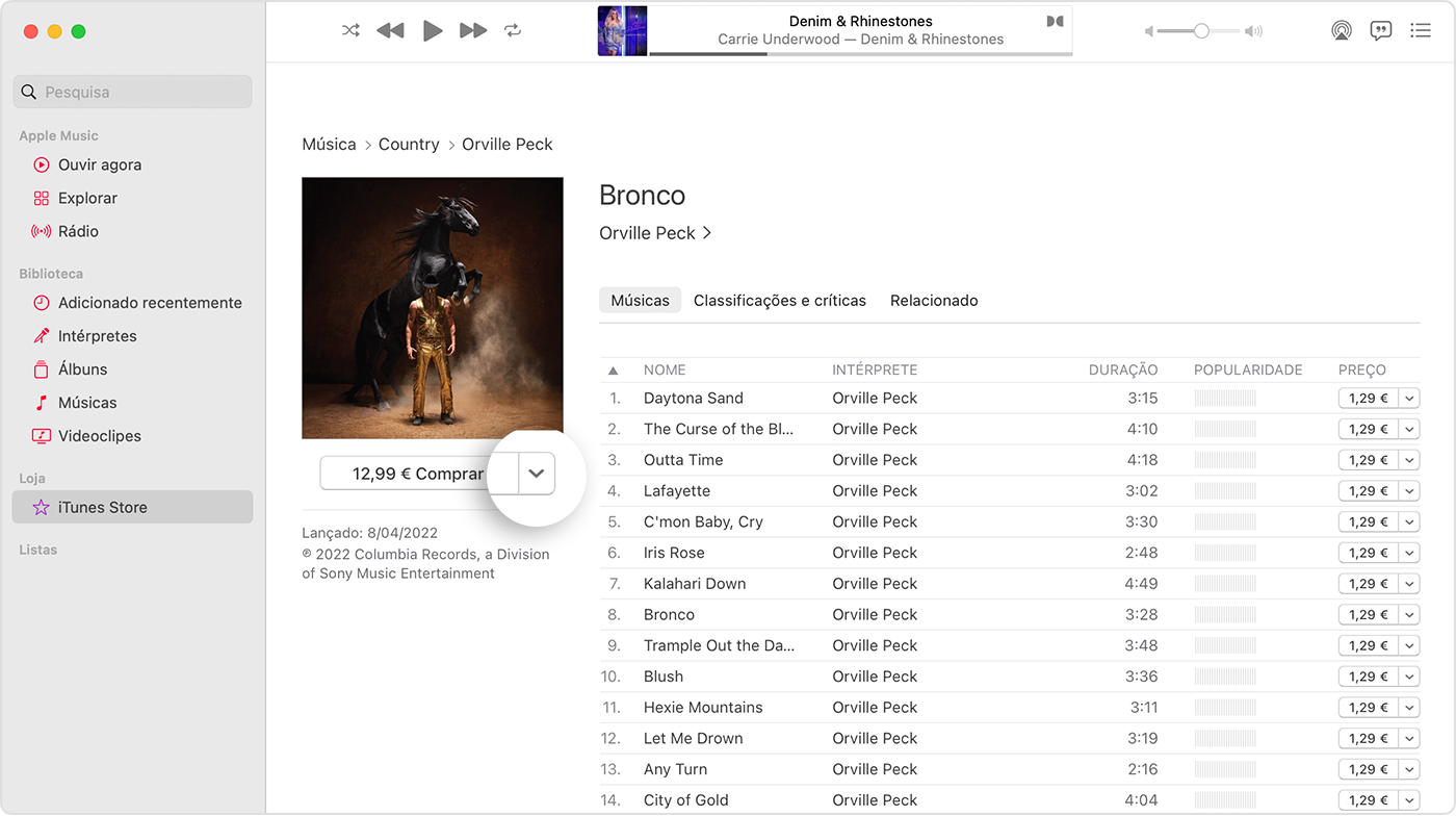 A iTunes Store na app Música num Mac.