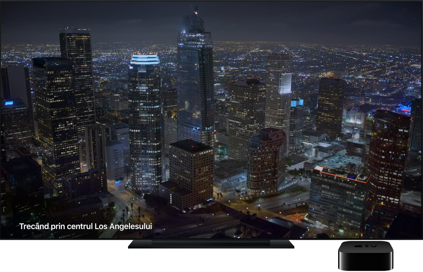 Un economizor de ecran Apple TV Aerial cu otarii brune.