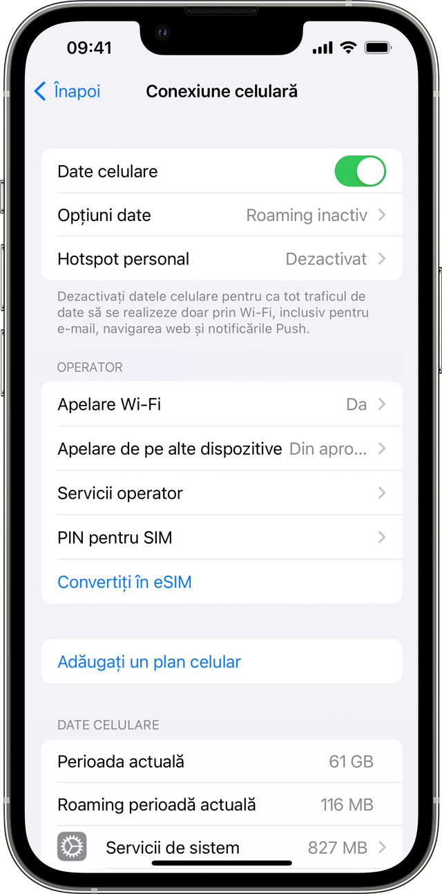 Folosirea datelor celulare pe iPhone sau iPad - Apple Support (RO)