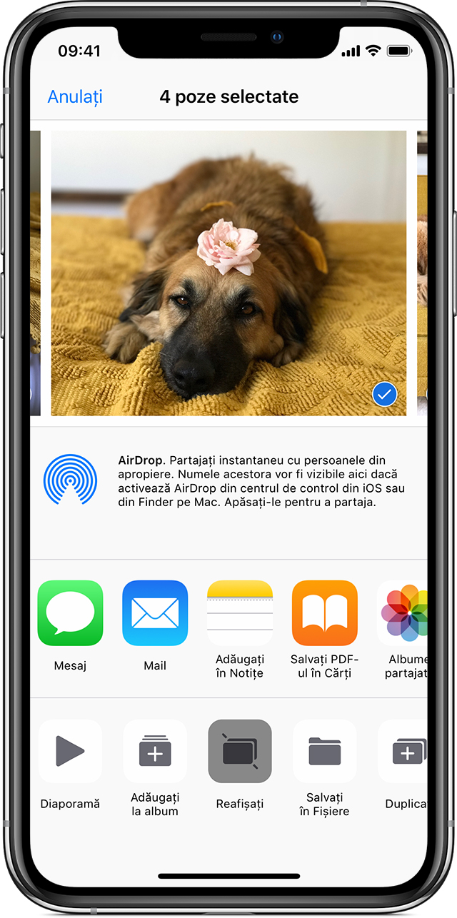 Obține Ajutor In Legătură Cu Fotografiile Care Lipsesc Apple Support