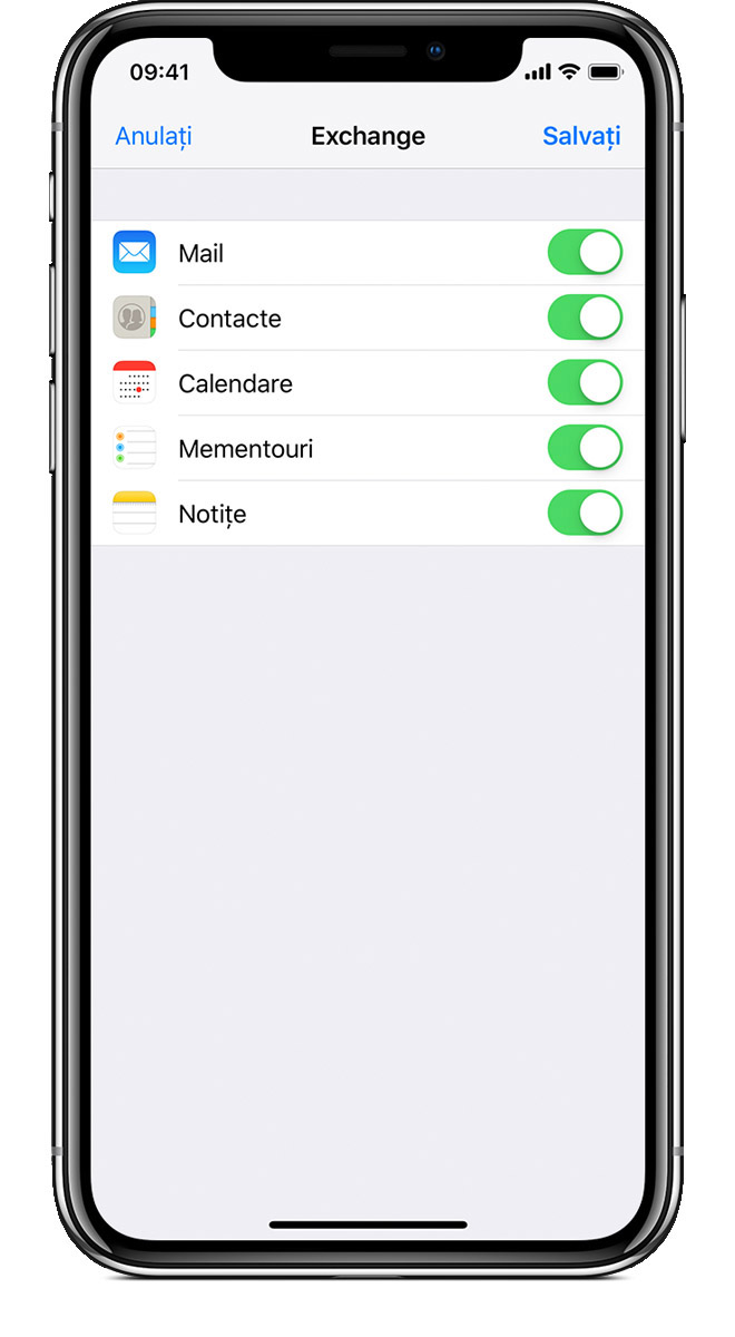 Ecranul final pentru alegerea opÈiunilor contului atunci cÃ¢nd se adaugÄ un cont Exchange pe un dispozitiv iOS