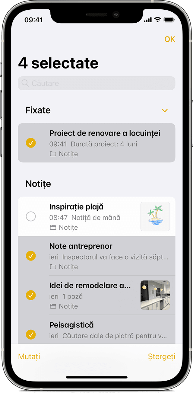 iPhone care afișează cum se mută o notiță în alt dosar în aplicația Notițe.