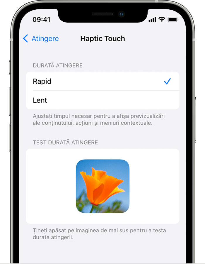 Configurările Haptic Touch pe iPhone