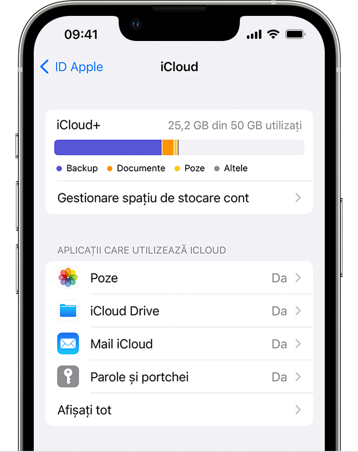 Alegerea aplicațiilor de folosit cu iCloud pe iPhone