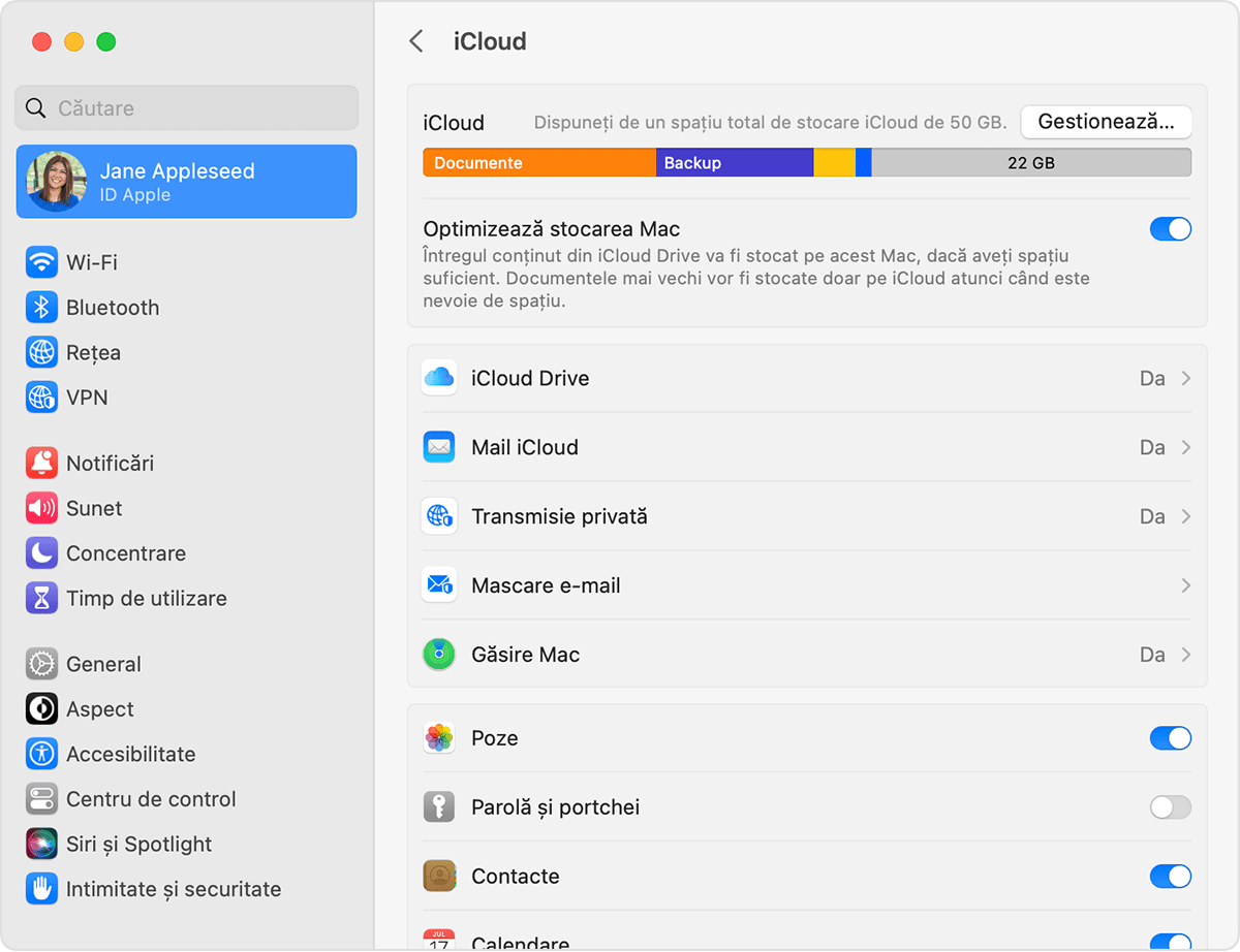Alegerea aplicațiilor de folosit cu iCloud pe Mac
