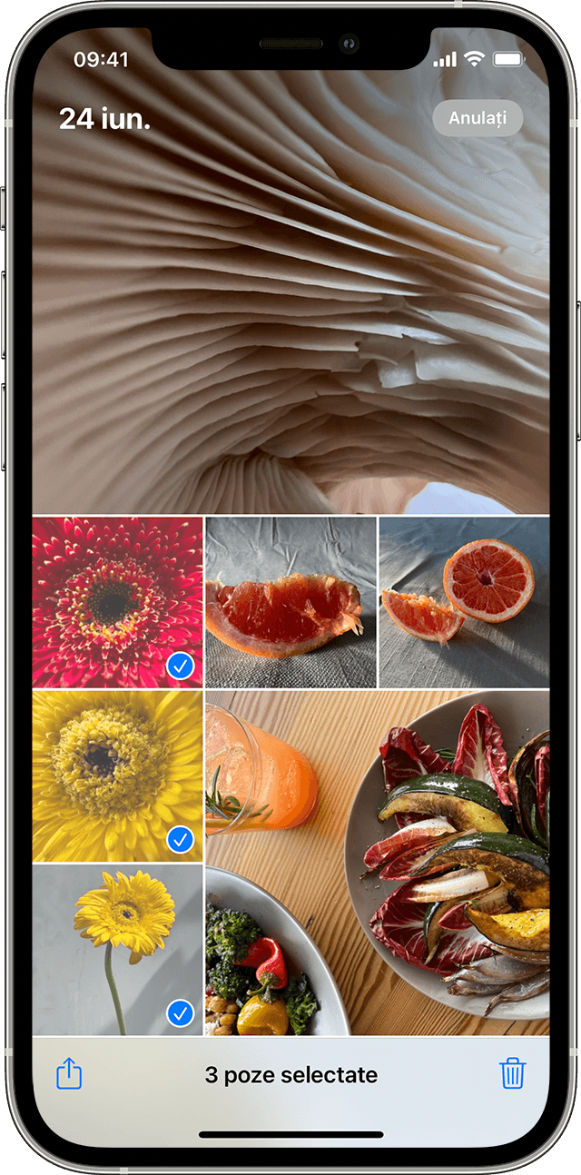 iPhone care afișează mai multe poze selectate în aplicația Poze