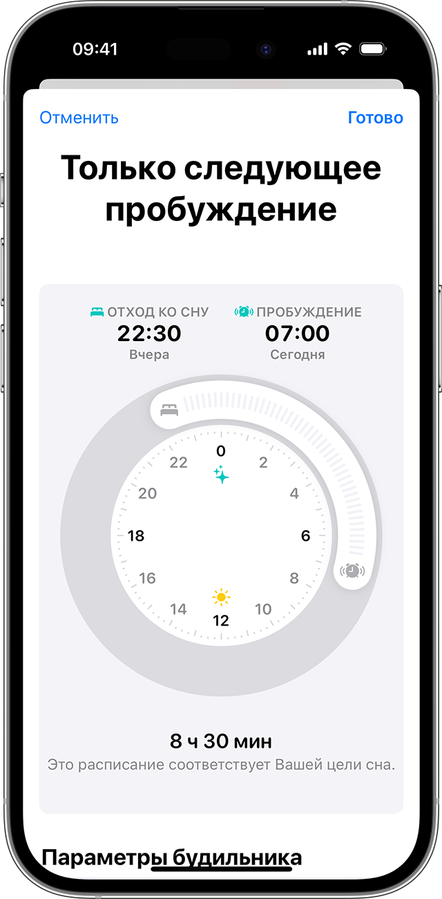 Экран iPhone с вариантами редактирования параметра «Только следующее пробуждение»