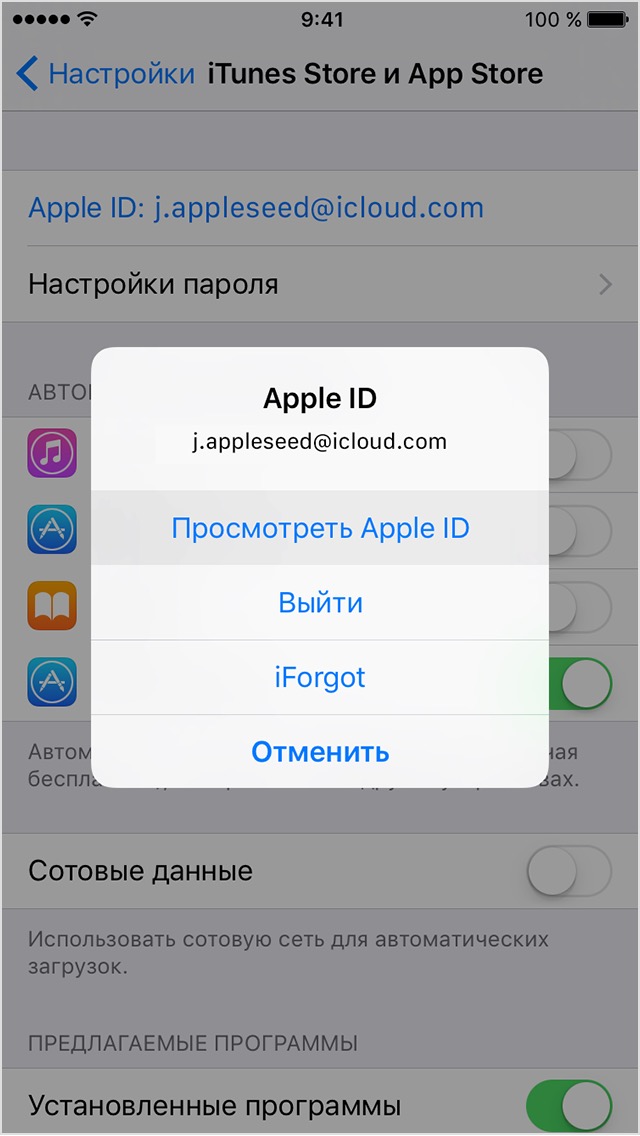 Приложение поддержка apple как выглядит