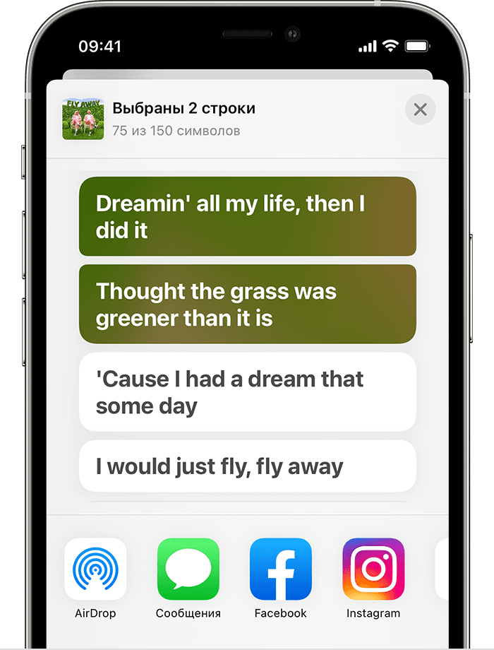 Экран iPhone со страницей общего доступа и двумя строками выбранной песни
