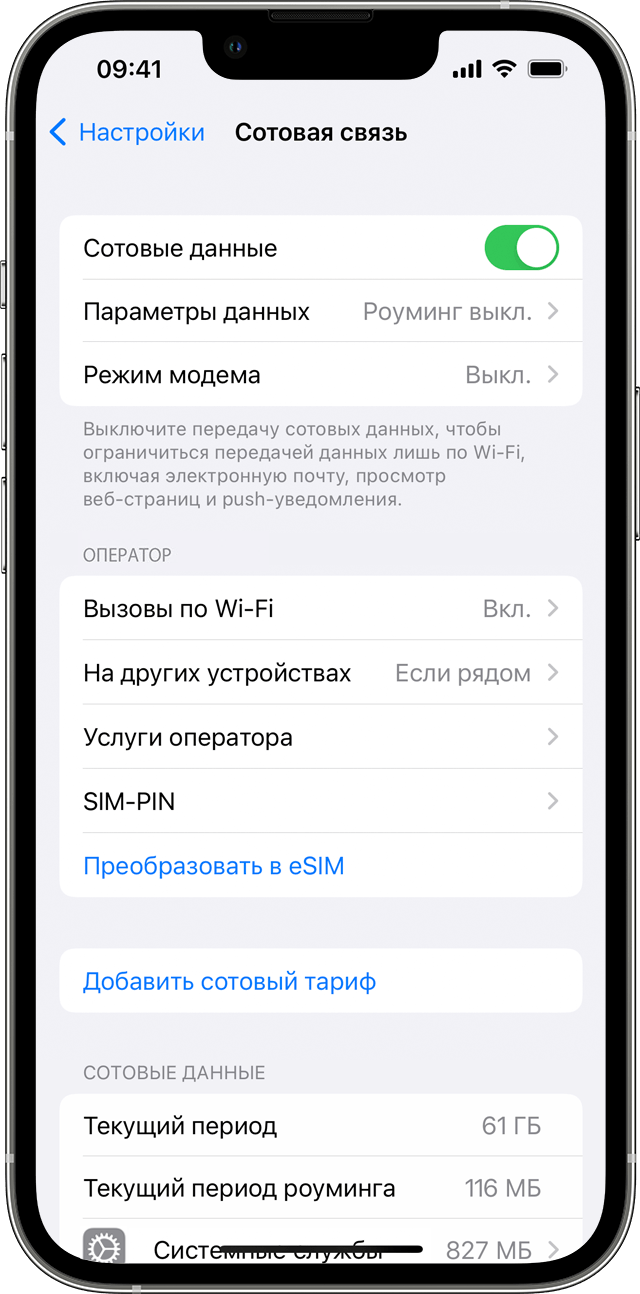 Экран iPhone с настройками сотовых данных