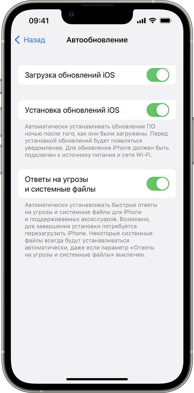 В приложении «Настройки» на iPhone отображаются варианты автоматического обновления устройства.